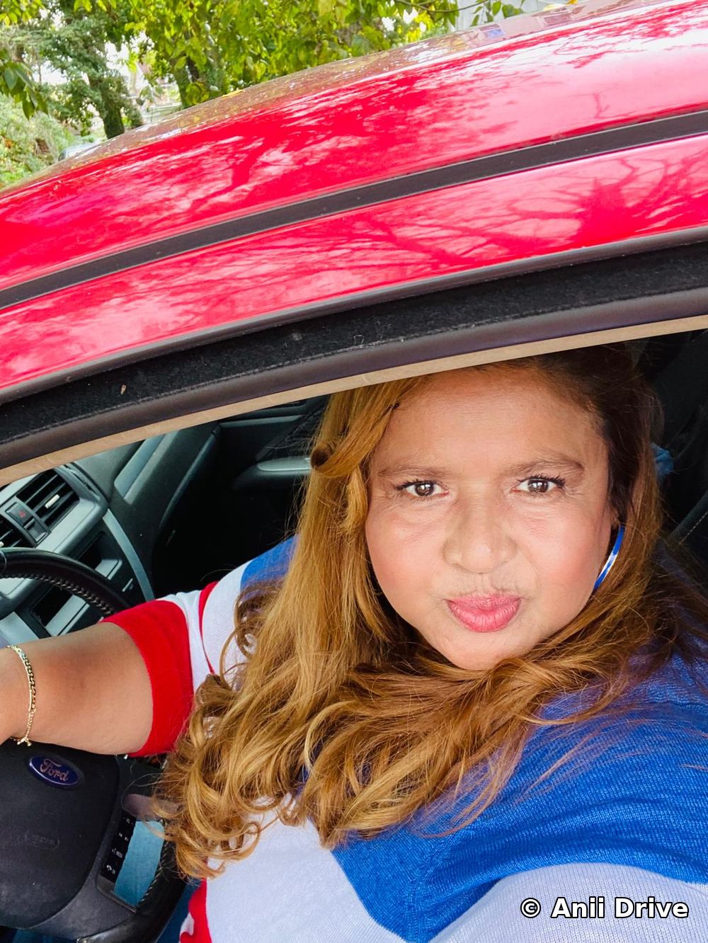 Anii en su carro